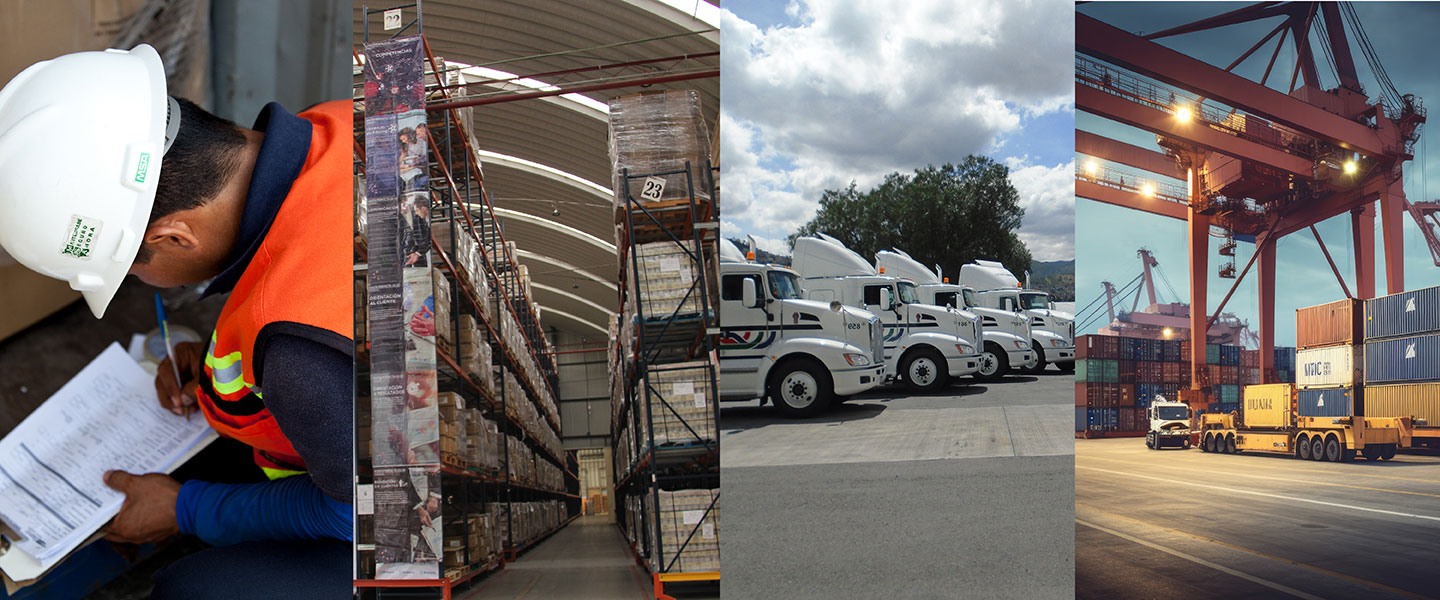 Integrador logístico